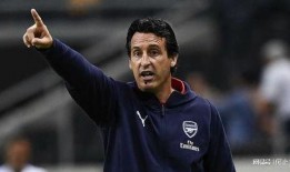 爆料埃梅里视频,揭秘足球幕后真相